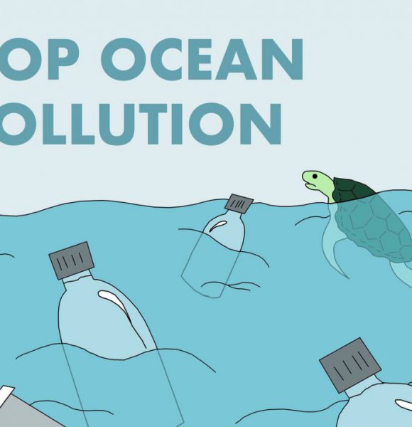 Stop Ocean Pollution